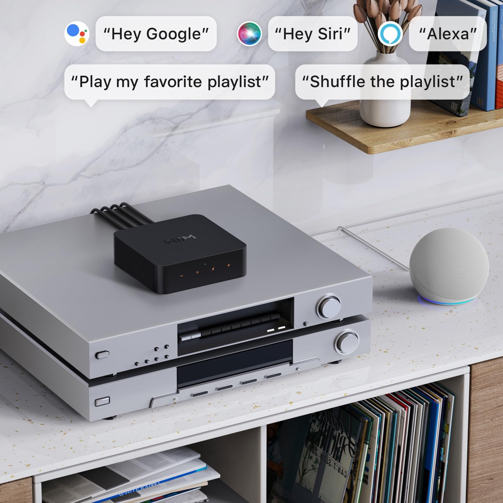 wiim-pro-airplay-2-receiver-multiroom-streamer-mit-sprachfernbedienung image 8